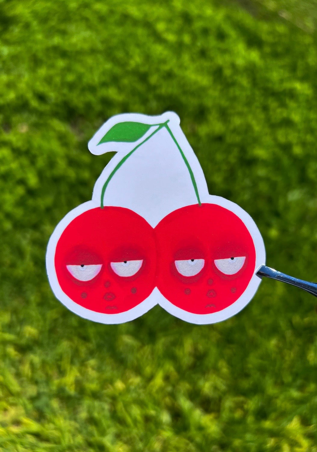 The Calm Cherries Sticker